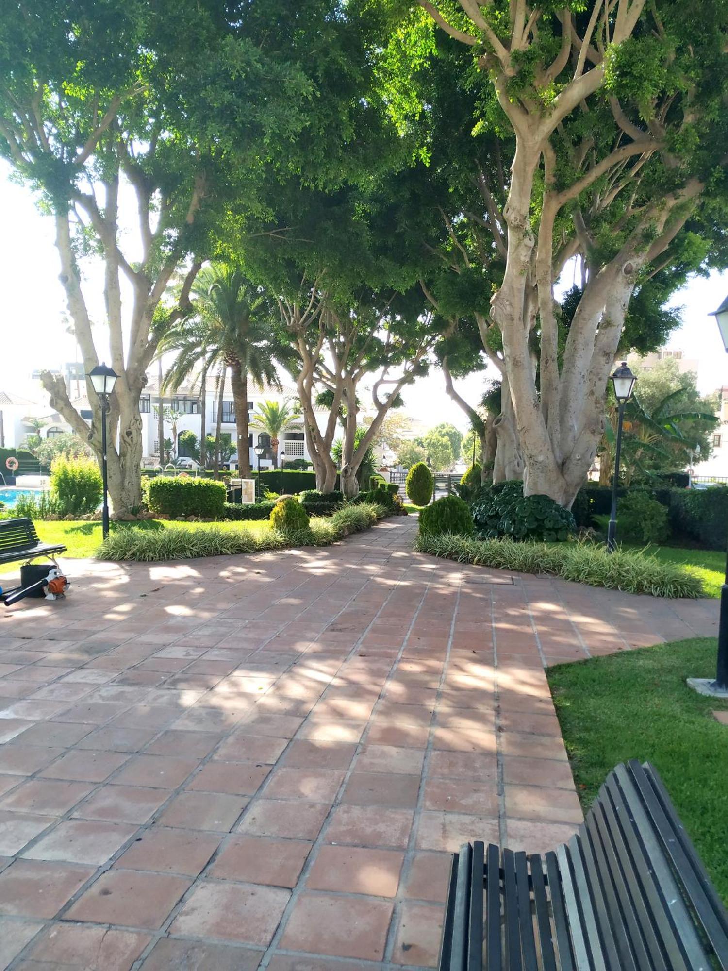 Carihuela Luxus Studio Torremolinos Eksteriør bilde