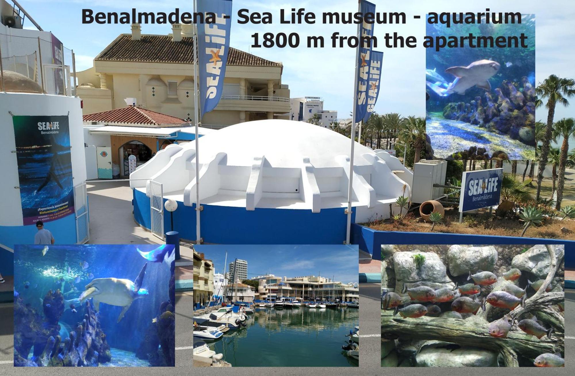 Carihuela Luxus Studio Torremolinos Eksteriør bilde